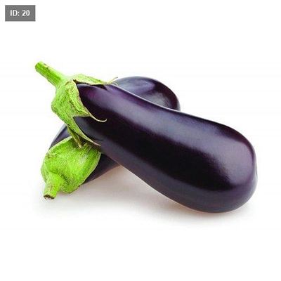 باذنجان