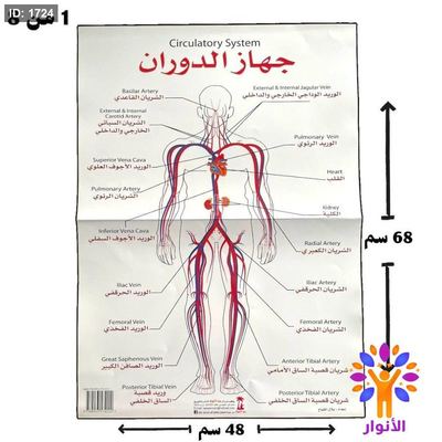 مجموعة لوحات جسم الانسان ( لوحات طبية )