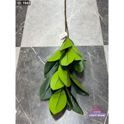 عرق خضار