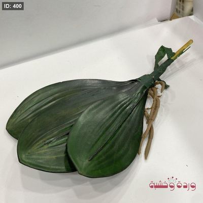 ورق أخضر