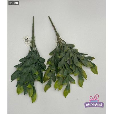 ضمم خضار