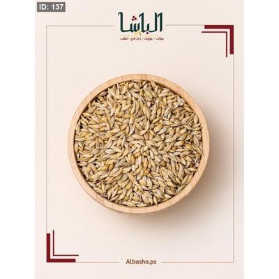 شعير