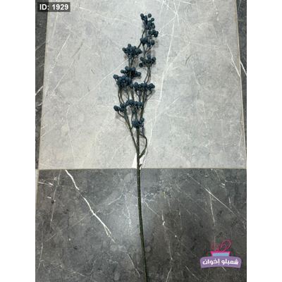 عرق بلوبري