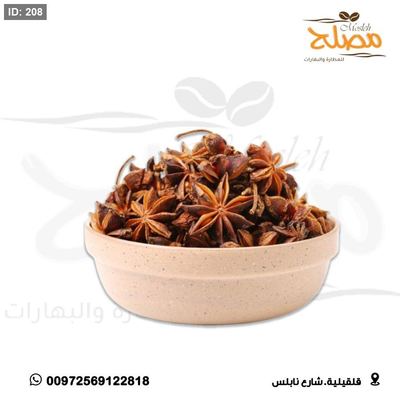 يانسون نجمه