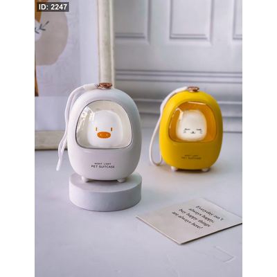 اضاءة USB