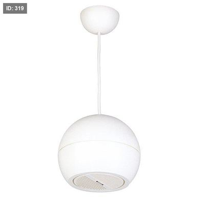 DSP107W Pendant Speakers Sound Projector