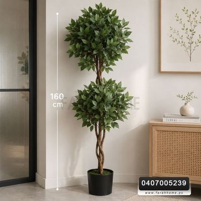 شجر فيجاس اخضر ابيض 160 مع قوار اسود