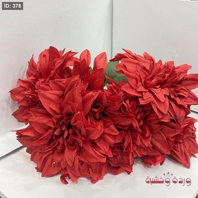 ورد داليا للتزين
