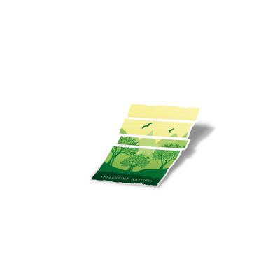 ستكر - زيتون فلسطين