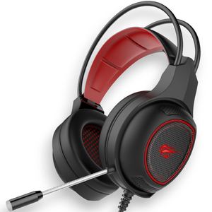 Havit HV-H2239D 3.5mm + USB RGB Gaming Headset Palestine